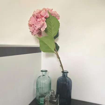 Le 2 Valli Moltrasio